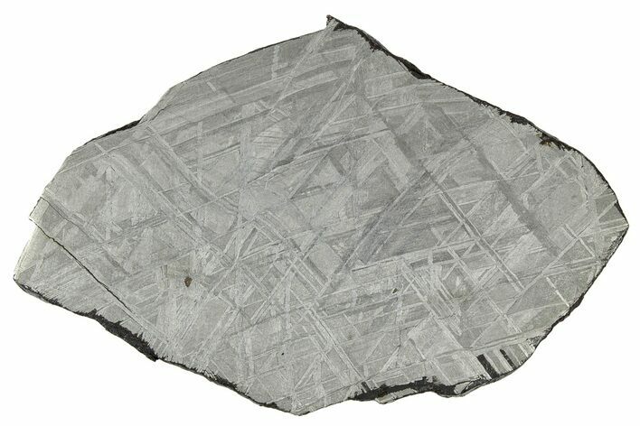 Etched Muonionalusta Meteorite Slice ( g) - Sweden #333194